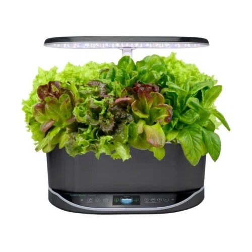 AeroGarden Bounty Elite