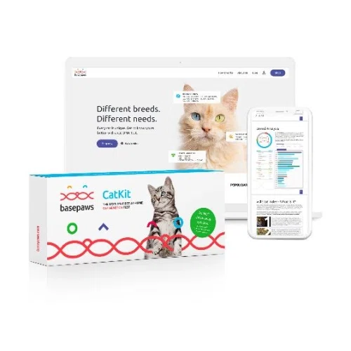 Basepaws Cat DNA Test