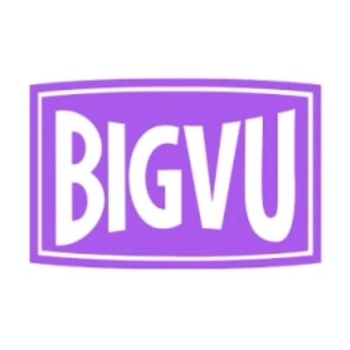 BIGVU Online Video Maker