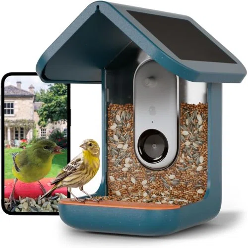 Bird Buddy Smart Bird Feeder