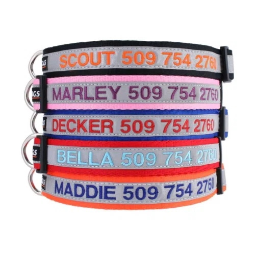 GoTags Personalized Reflective Dog Collar with Quick Release Buckle, Embroidered