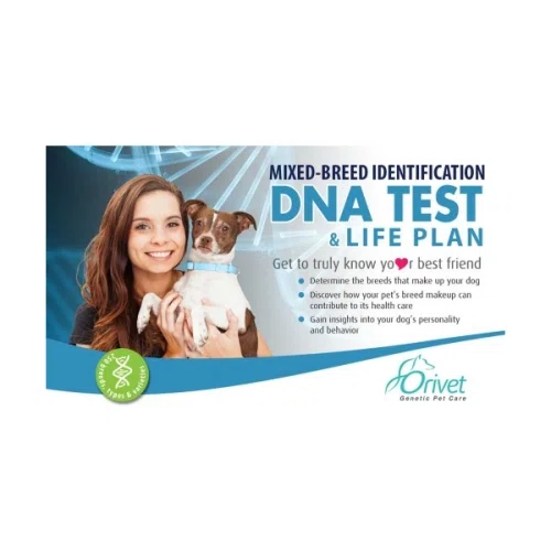 HomeDNA Dog DNA Test