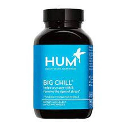 Hum Big Chill