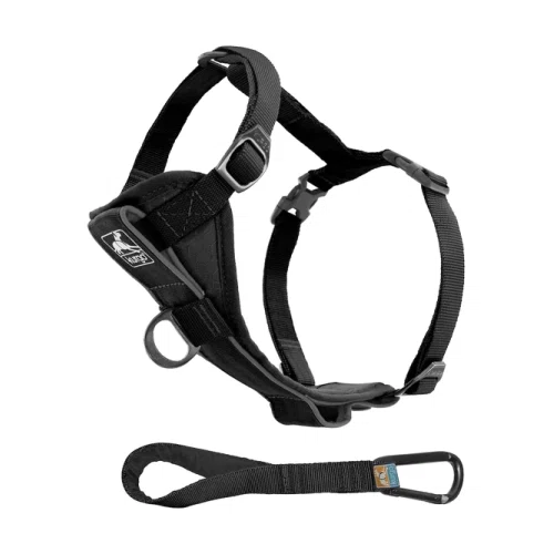 Kurgo Tru-Fit Smart Dog Walking Harness