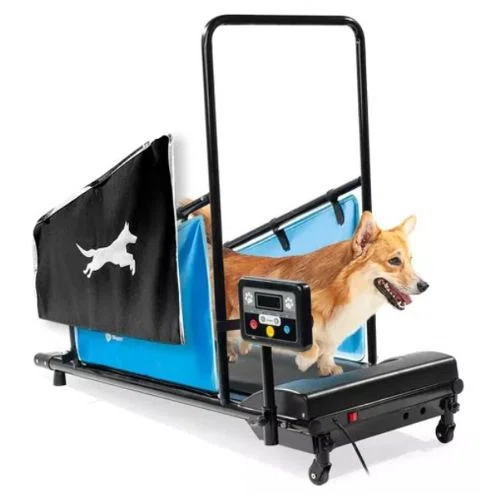 Lifepro PawRunner Pet Treadmill