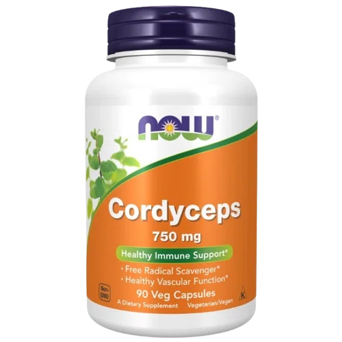 Now Cordyceps Capsules