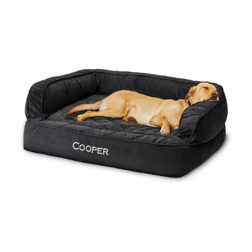 Orvis Memory Foam Couch Dog Bed