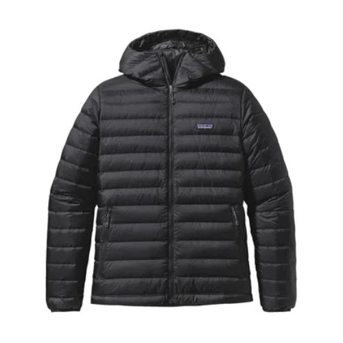 Patagonia Down Sweater Hoody