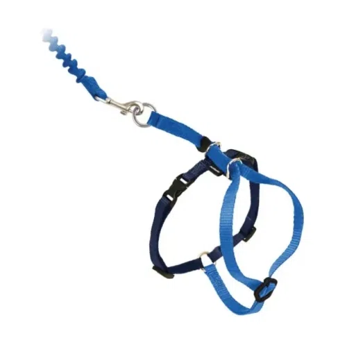 PetSafe Come With Me Kitty Cat Harness & Bungee Leash