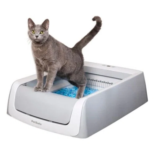 PetSafe ScoopFree Complete Plus Self Cleaning Litter Box