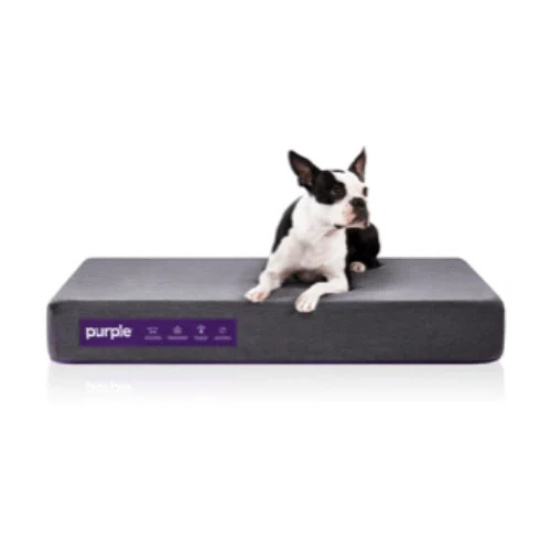 ﻿Purple Mattress Pet Bed