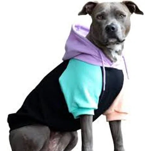 Spark Paws Dog Hoodie