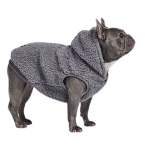 Spark Paws Teddy Sherpa Dog Jacket