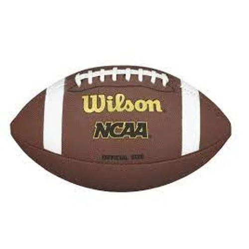 Wilson NCAA Composite Football